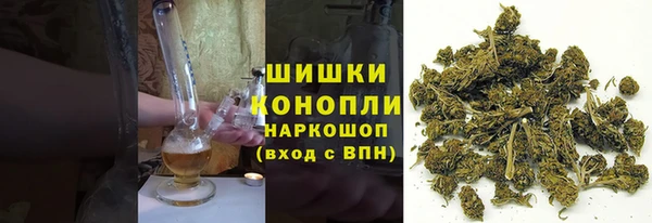 прущие грибы Баксан