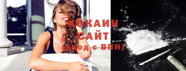 прущие грибы Баксан