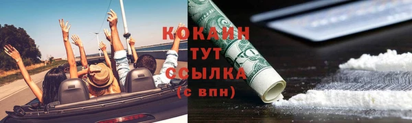 прущие грибы Баксан