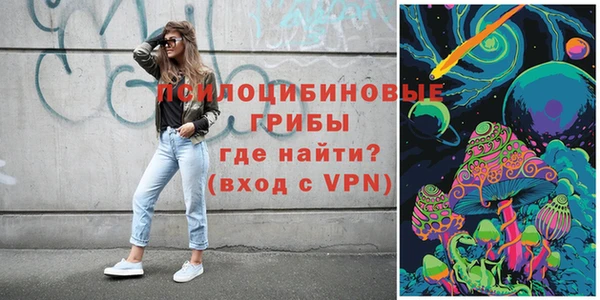сатива Балахна