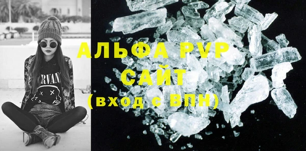 прущие грибы Баксан