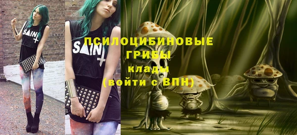 сатива Балахна