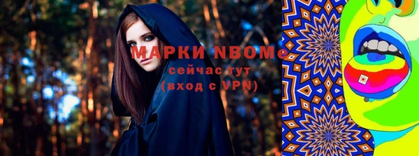 прущие грибы Баксан