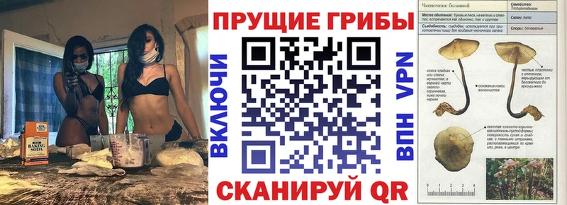 купить наркотик  гидра маркетплейс  Галлюциногенные грибы мухоморы  Покровск 